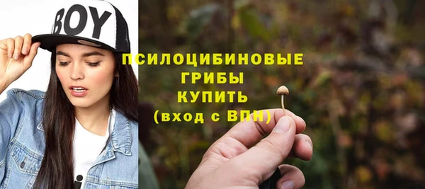 гидропоника Армянск
