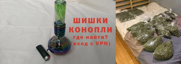 сатива Арсеньев