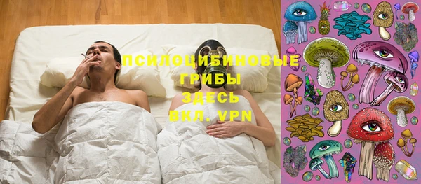 тгк Новозыбков