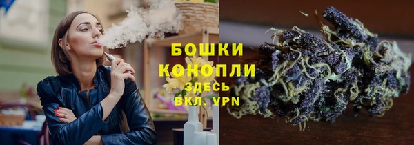 сатива Арсеньев